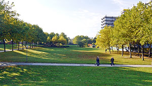 2000