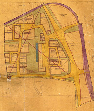 1961